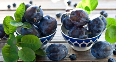 Jak uchovat švestky doma zmrazením, sušením a mořením